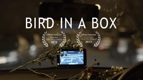 Bird in a Box still