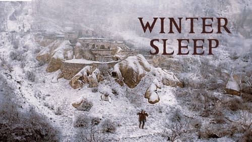 Winter Sleep still