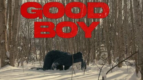Good Boy still