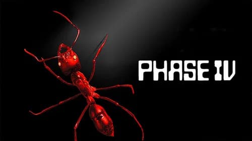 Phase IV still