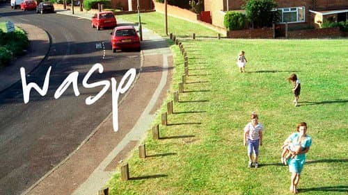 Wasp still