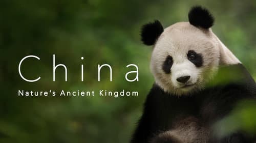 China Nature's Ancient Kingdom still