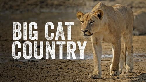 Big Cat Country still