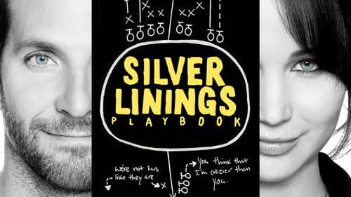 Silver Linings Playbook still