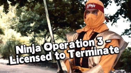 Ninja Operation 3: Licensed to Terminate still