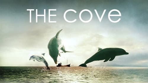The Cove still