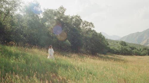 The Meadow still
