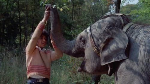 Anoop and the Elephant still