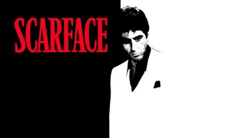 Scarface still