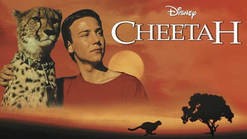 Cheetah still