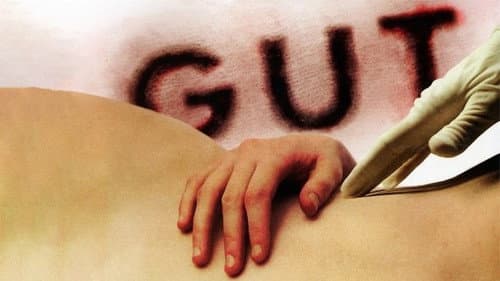 Gut still