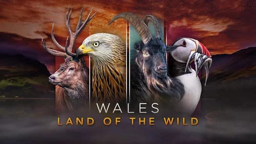 Wales: Land of the Wild still