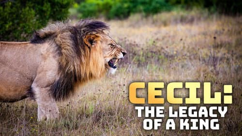 Cecil: The Legacy of a King still