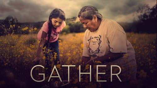 Gather still