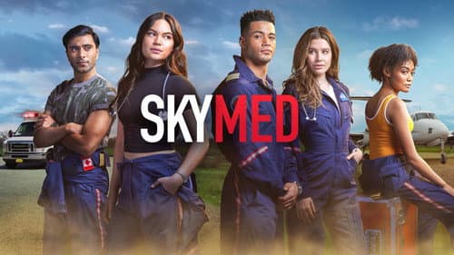 SkyMed still