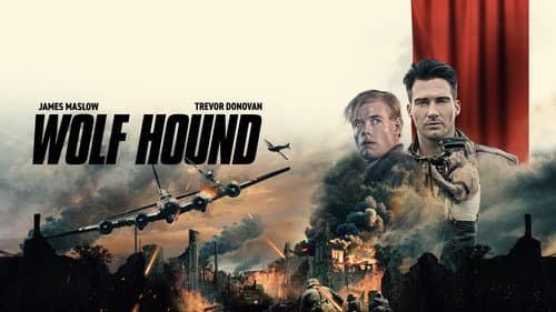 Wolf Hound still