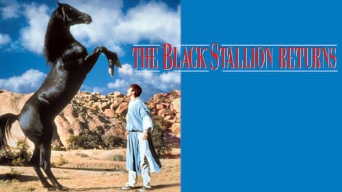The Black Stallion Returns still