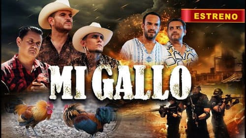 Mi Gallo still