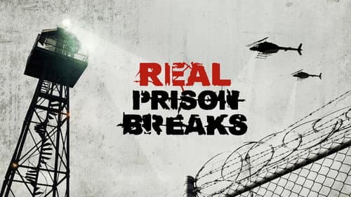 I Escaped: Real Prison Breaks still