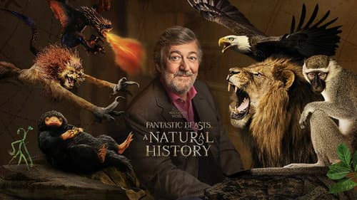 Fantastic Beasts: A Natural History still