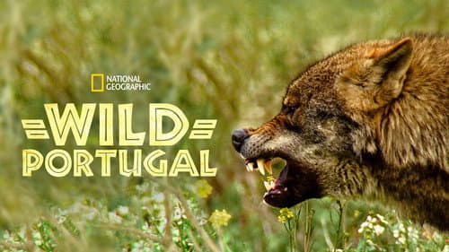Wild Portugal still