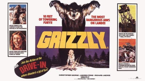 Grizzly still
