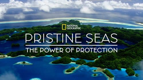 Pristine Seas: The Power of Protection still