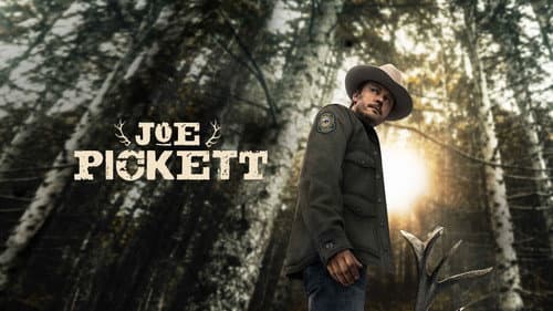 Joe Pickett still