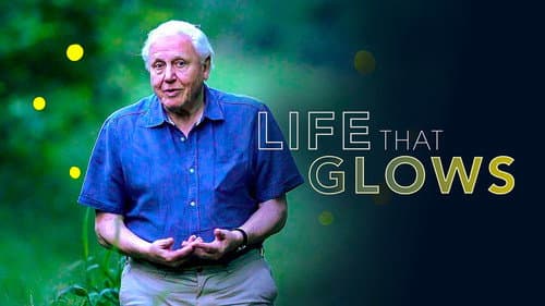 Attenborough's Life That Glows still