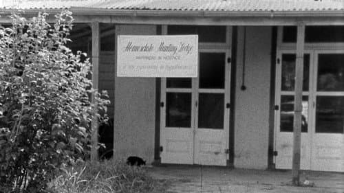 Homesdale still