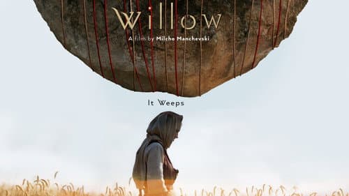 Willow still