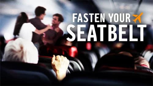 Fasten Your Seatbelt still