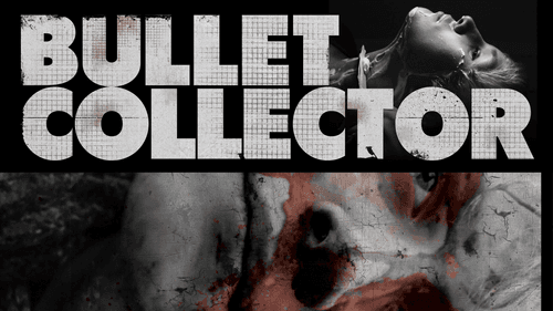 Bullet Collector still