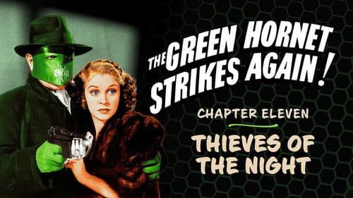 The Green Hornet Strikes Again! still