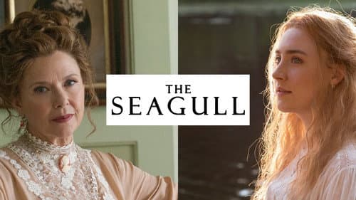 The Seagull still