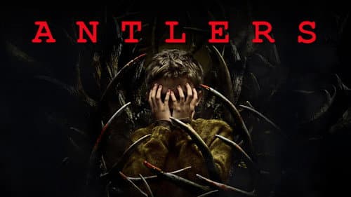 Antlers still