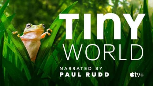 Tiny World still