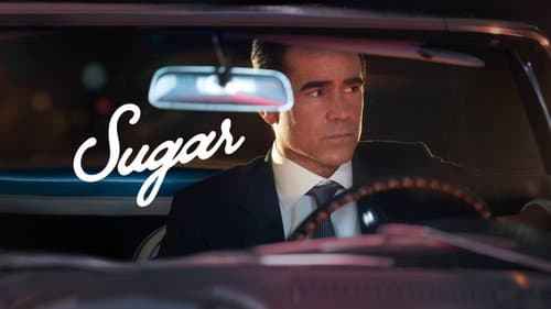 Sugar still