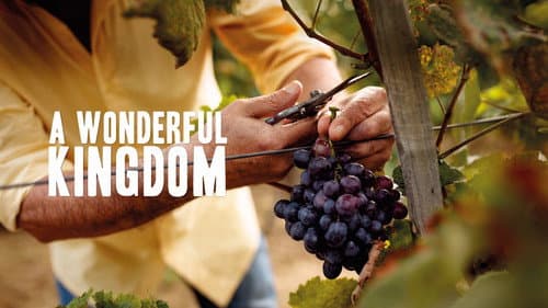 A Wonderful Kingdom still
