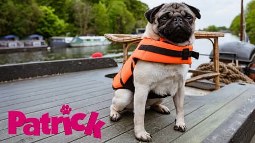 Patrick still