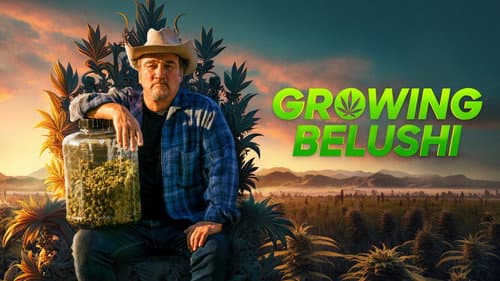 Growing Belushi still