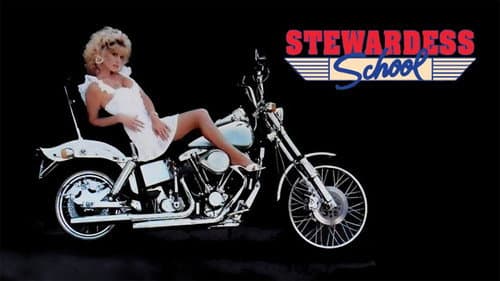 Stewardess School still
