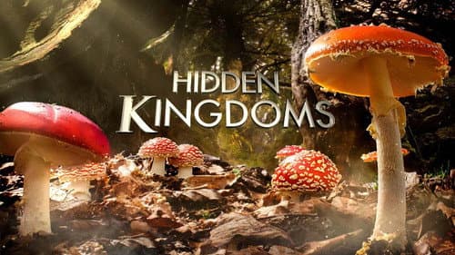 Hidden Kingdoms still