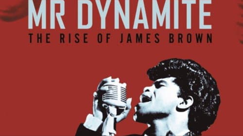 Mr. Dynamite: The Rise of James Brown still