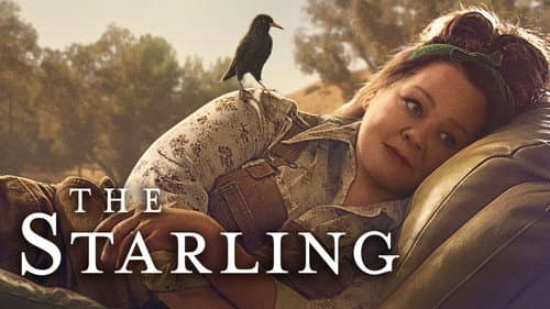 The Starling still