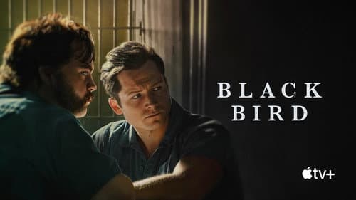 Black Bird still