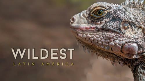 Wildest Latin America still