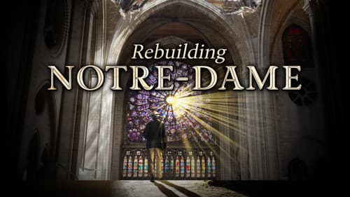 Rebuilding Notre-Dame still