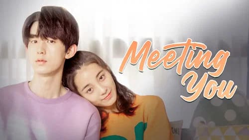 Meeting You still