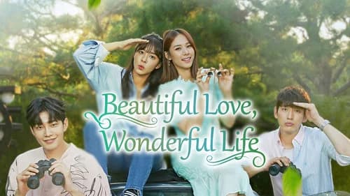 Beautiful Love, Wonderful Life still